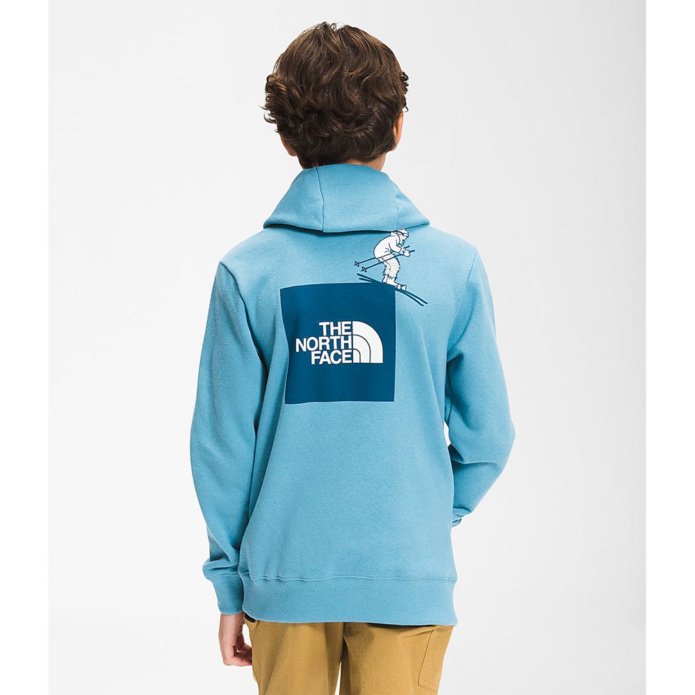 Sudadera the discount north face niño